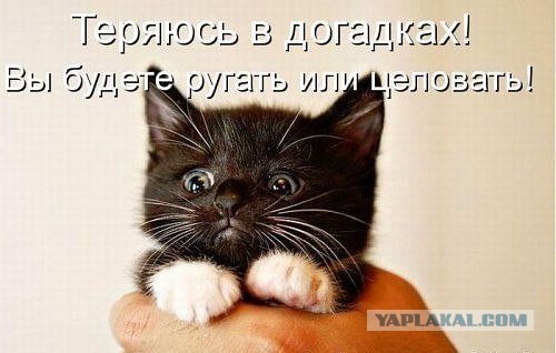 Весёлое из сети