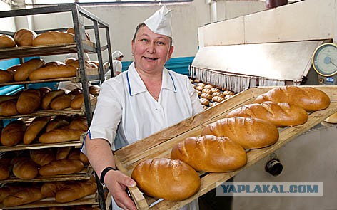 Закрывают Шавермы!