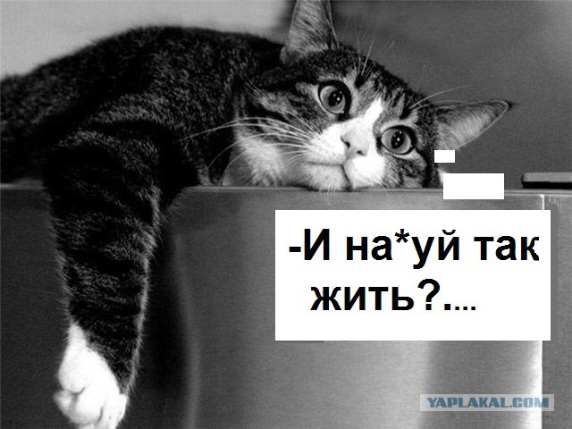 Тлен