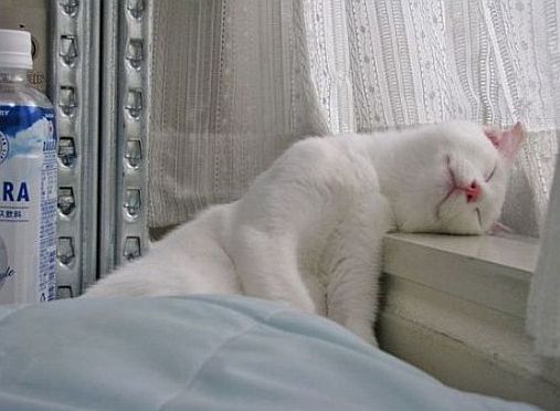 Спят усталые ...