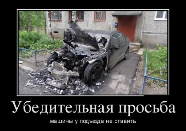 Забавные картинки из Сети