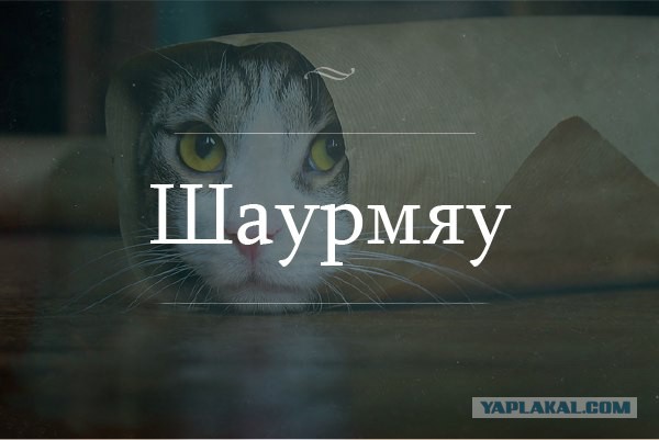 Просто картинки