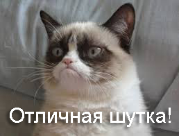 Известные котомемы.