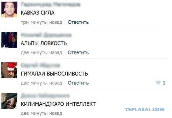 Ужасы и приколы из соцсетей 18+