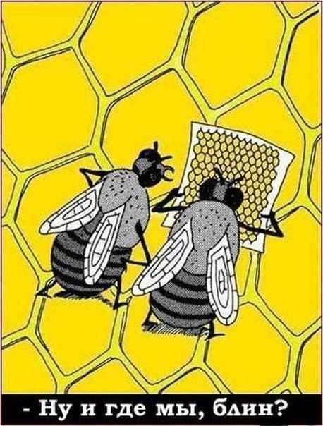 Плюшкиным посвящается