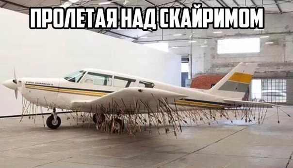 Немного картинок