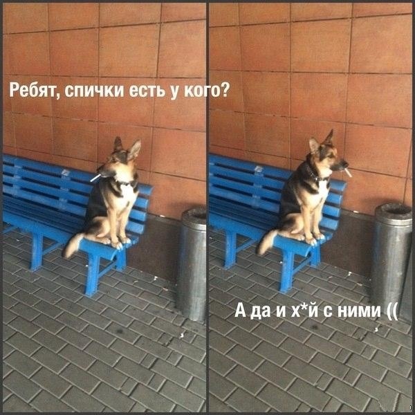 Пример железной логики