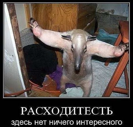 Подборка картинок