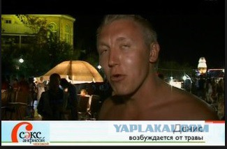 Известные актеры, которые практикуют вегетарианство и веганство