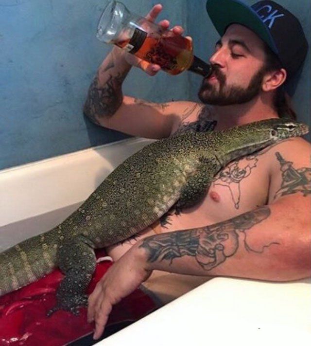 Картинки из интернетов