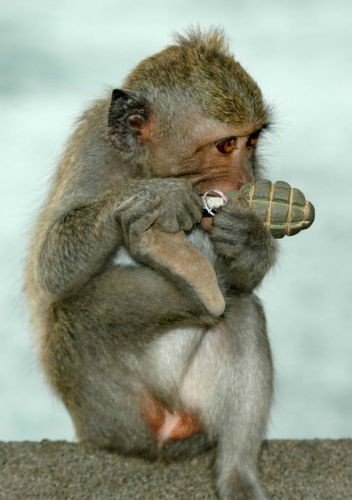 Развлекаются идиоты...