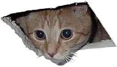 Виски с Колой