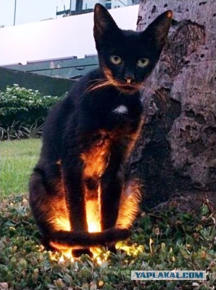 Чего уж тут поделаешь....