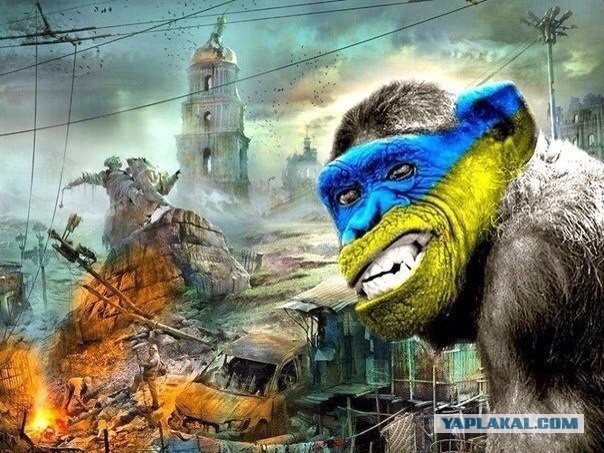 Опять майдан