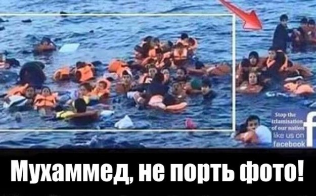Ужасы и приколы из соцсетей