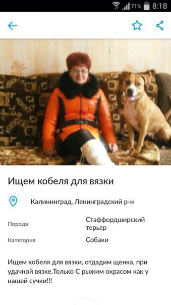 Ужасы и приколы из соцсетей 18+