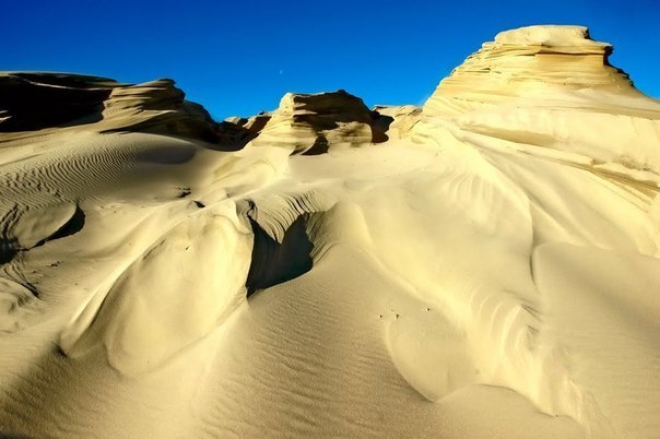 Интересные и веселые картинки