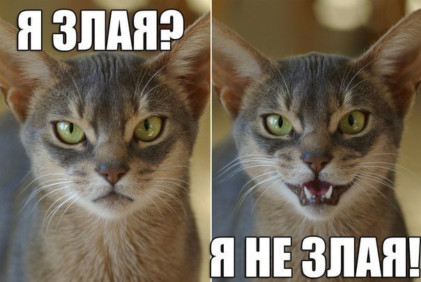 Подборка частицы смеха...