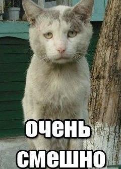 Чужое счастье