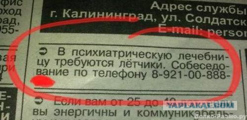 Пора вари... валить бетон! "Альты", шах и мат!