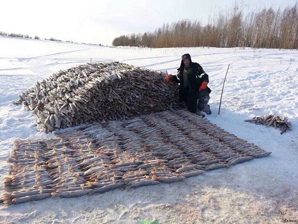 Задох рыбы или рыбаки-мудаки!