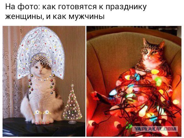 Немного картинок