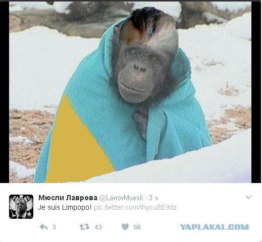 Разгромный доклад ЕС по Украине