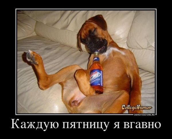 Правильная мотивация