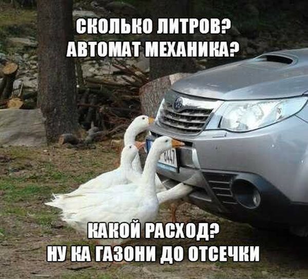 Подборка интересных и веселых картинок