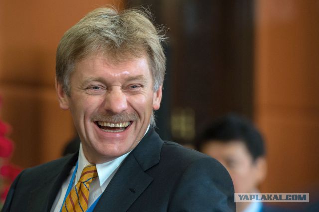 Горячие помощницы наших политиков