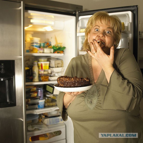 Открывает холодильник и ест - ЯПлакалъ