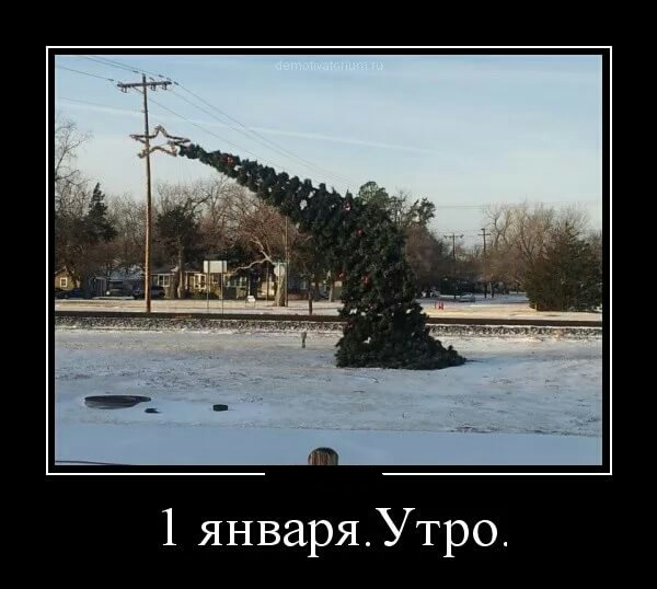 Выжившим в Новогоднюю ночь посвящается…