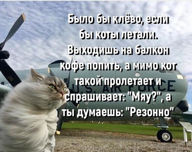 Немного картинок на вечер