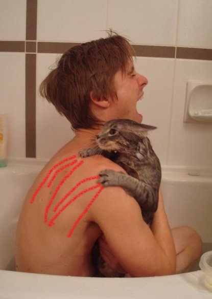 Это была плохая идея