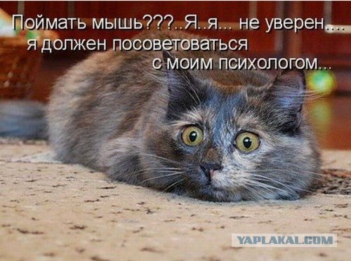 Да отстань ты!