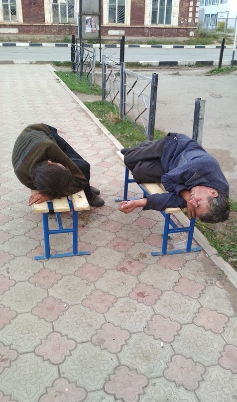 Скотсети и прочие интернеты 22.02.19