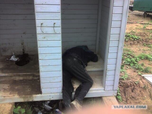 Скотсети и прочие интернеты 04.03.19