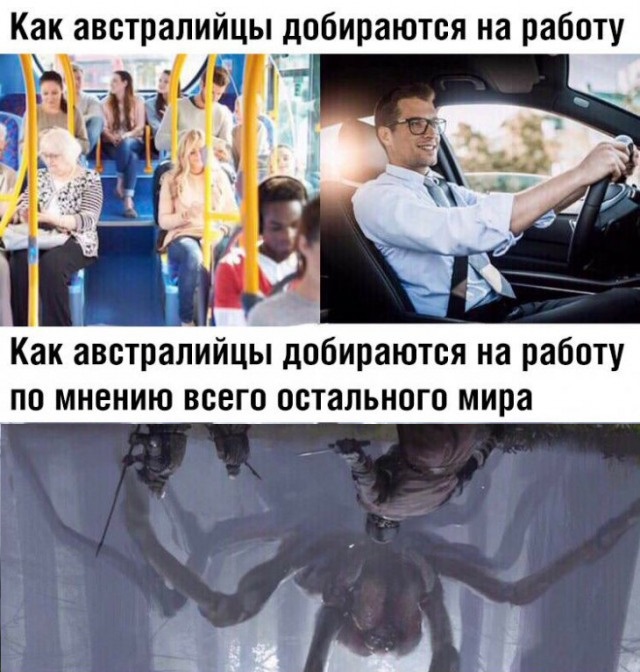 Немного картинок для настроения