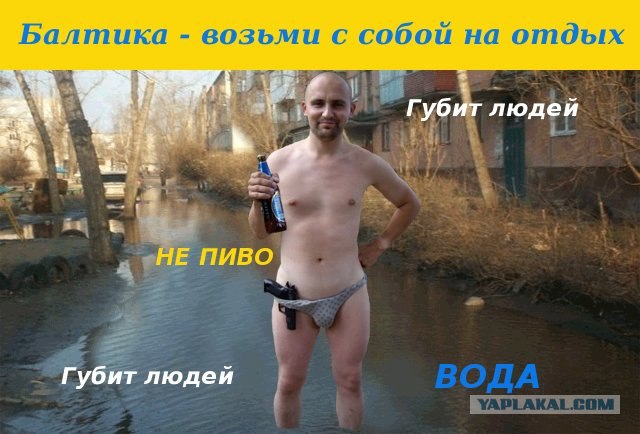 Zhaberbottle v2.0 - Команда поддержки, топик для обсуждения и зрительских Жаб