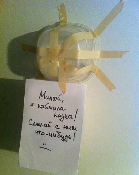Разные и без темы