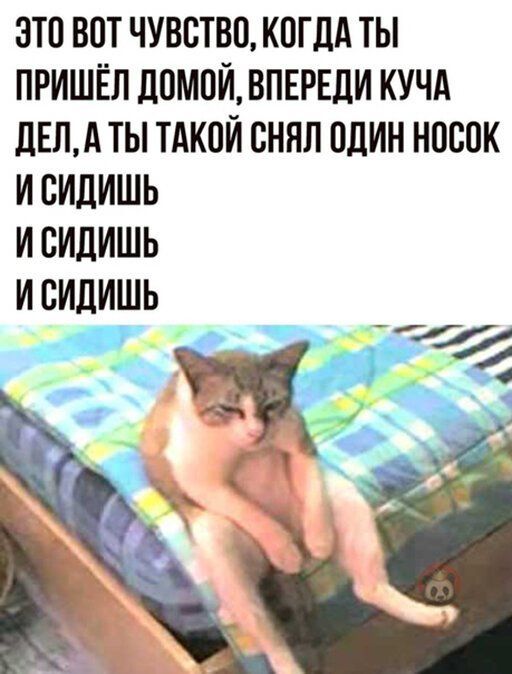 Немного картинок для настроения 04.04.20
