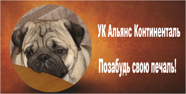 Фотожаба: Альянс Континенталь