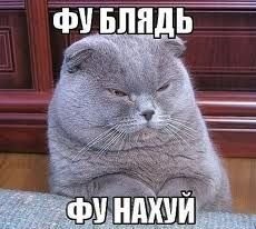 Узнаёте?