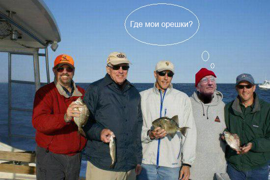 Грусть-тоска меня съедает...