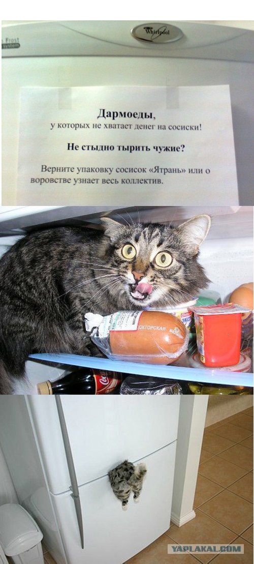 Выхожу на работе пообедать и вижу.... О_o