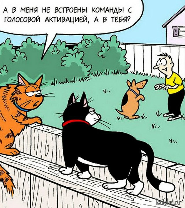 С котопятницей! Улыбнемся?