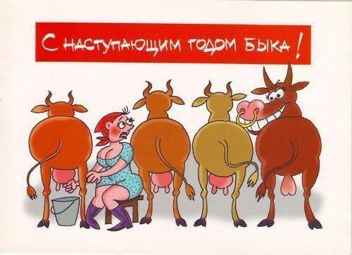 Новогоднее поздравление всему ЯПу и не только