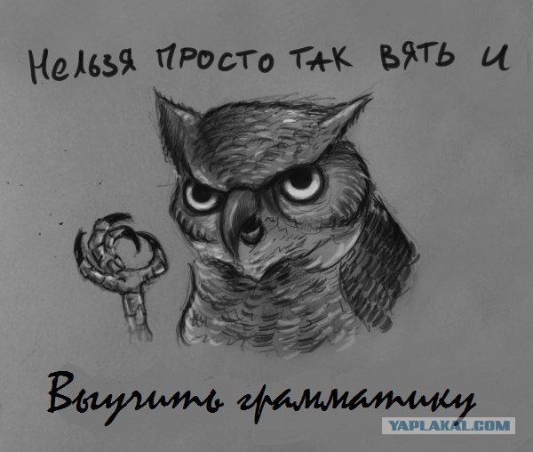 Фотожаба:Нельзя просто так взять и нарисовать СОВУ