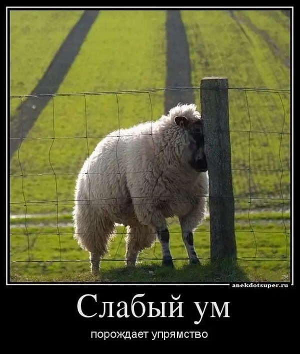 А аулах шлагбаумов нет, и тут не будет!