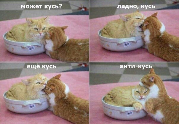 Так себе картинки 28.03.21